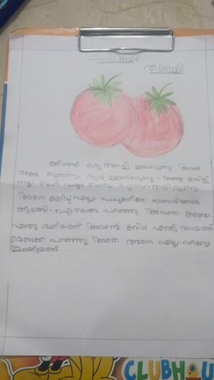 30446- IDK-KUNJU-SANA FATHIMA.jpeg