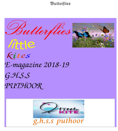 Butterflies ---- ഗവ. എച്ച്.എസ്സ് .എസ്സ് .പുത്തൂർ