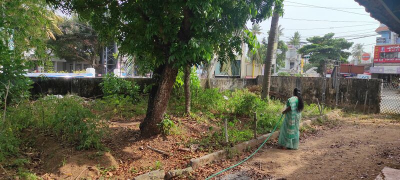 പ്രമാണം:41069 veg5.jpg