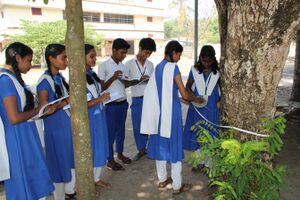 Nallapadam19 35052 1.jpg