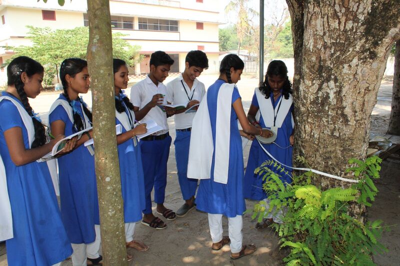 പ്രമാണം:Nallapadam19 35052 1.jpg