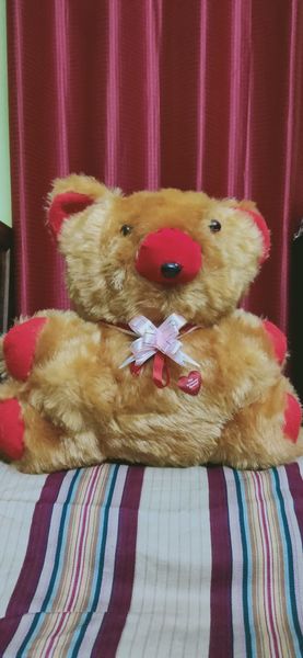 പ്രമാണം:TEDDY BEAR.jpg