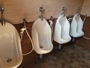 URINALS.JPG