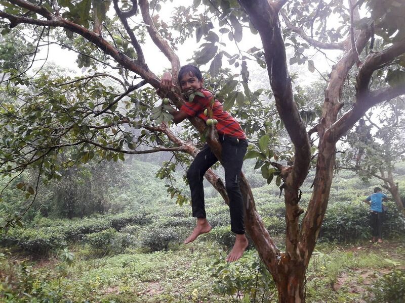 പ്രമാണം:15016 yt19.jpg