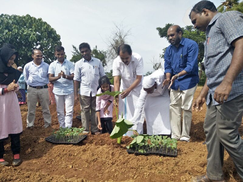 പ്രമാണം:19833 paddadikal12.jpg