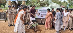 23039 Planting tree.jpg