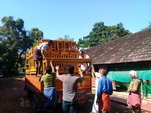 25402 wikki 3 (39) 19.jpg