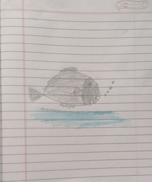 26306-EKM-KUNJU-FEIZAH FATHIMA.resized.jpg