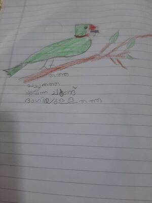 29409-IDK-KUNJ-BENITO BINTO.jpg