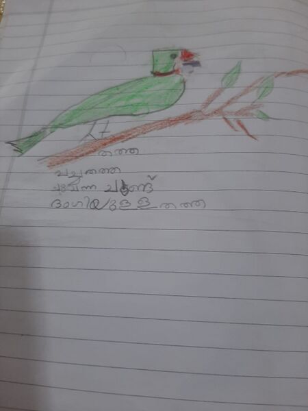 പ്രമാണം:29409-IDK-KUNJ-BENITO BINTO.jpg