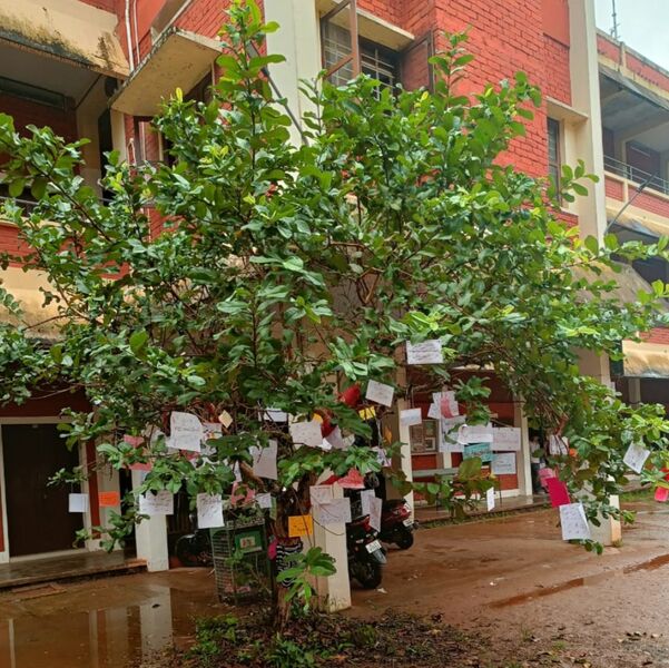 പ്രമാണം:36035 opm3.jpg