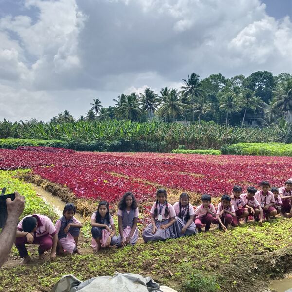 പ്രമാണം:44213 fld.jpg