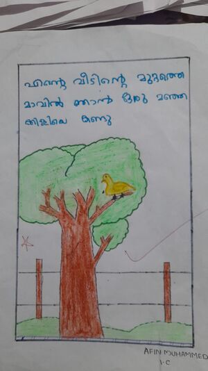 48558-MLP-Kunju-Afin Muhammed.jpg