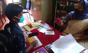 BS21 ALP 34317 4.jpg