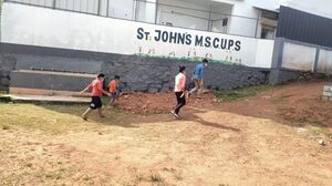 BS21 ALP 36285 5.jpg