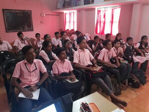 13121 little kites 1.jpg