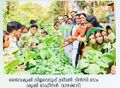 08:34, 29 ജനുവരി 2022-ലെ പതിപ്പിന്റെ ലഘുചിത്രം