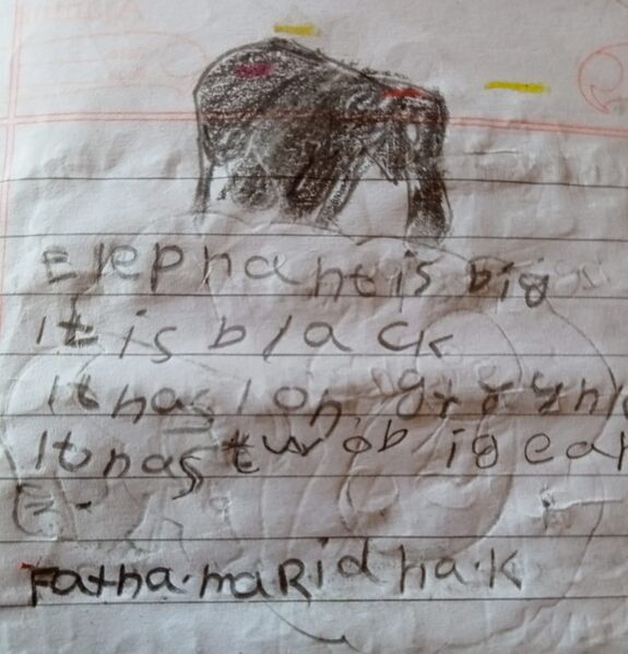 പ്രമാണം:18624-MLP-KUNJ -FATHIMA RIDHA .jpg