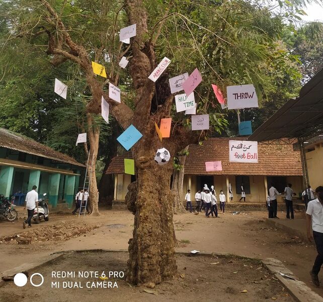 പ്രമാണം:19026-fifa-tree-2.jpeg