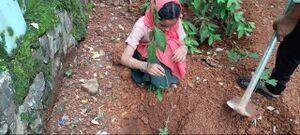 192-1 paristhidhidinam.jpg