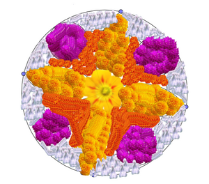 19359 mlp dp 2019 7.png