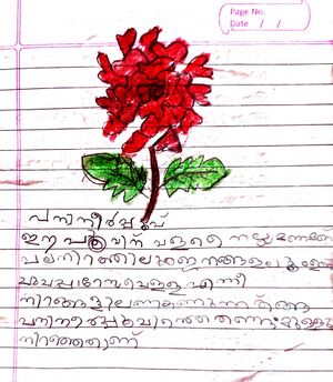 19641-MLP-KUNJ-FATHIMA SANA.jpeg