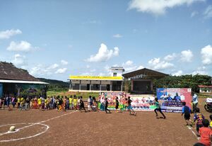 19833 world cup 14.jpg