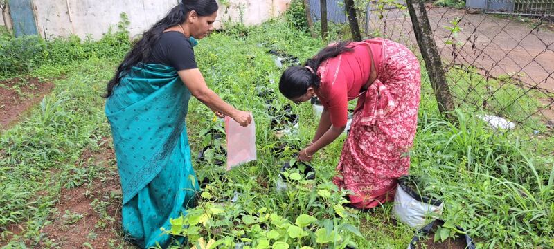 പ്രമാണം:21068 garden 2.jpeg