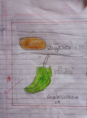 21420-PKD-KUNJ-AKHIRTHANA K.jpg