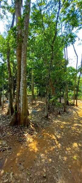 പ്രമാണം:24071-SCHOOL PREMICES2 aushath.jpeg