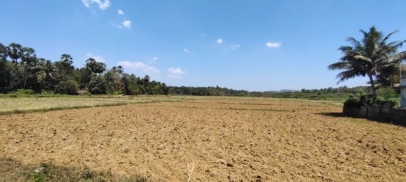 പ്രമാണം:24607-Field Mullurkkara.jpeg