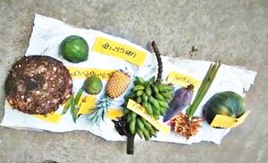 29312 karshikam21.jpeg