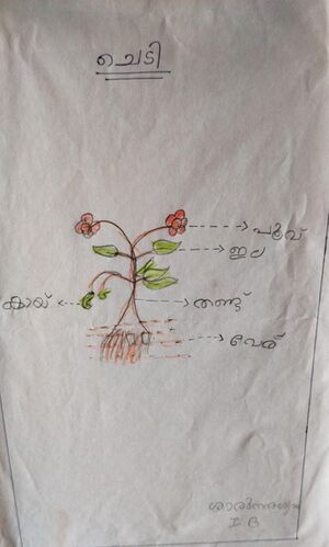 32110100503-ALP-KUNJ-SHARUNANDHA SYAM.jpg