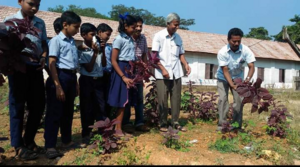 34006 agri 2.png