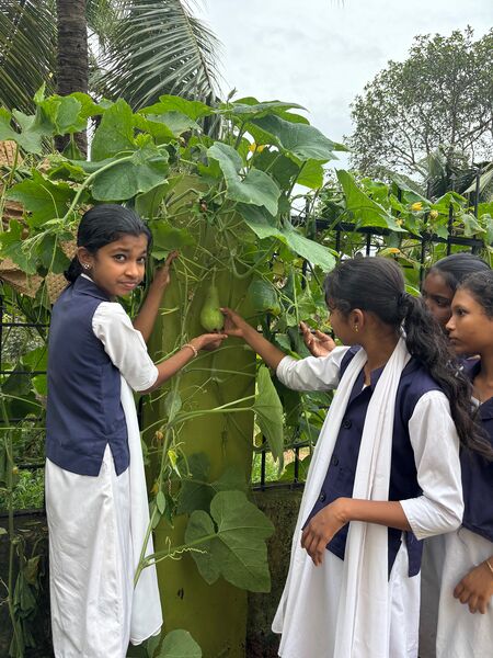 പ്രമാണം:34044-GHSM-NALLAPADAMKARSHIKA PRAVARTHANANGAL2025-1.jpg