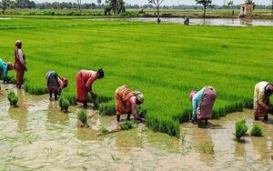 42359 agriculture.jpg