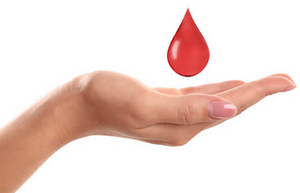 43040-BLOOD DONATION.png