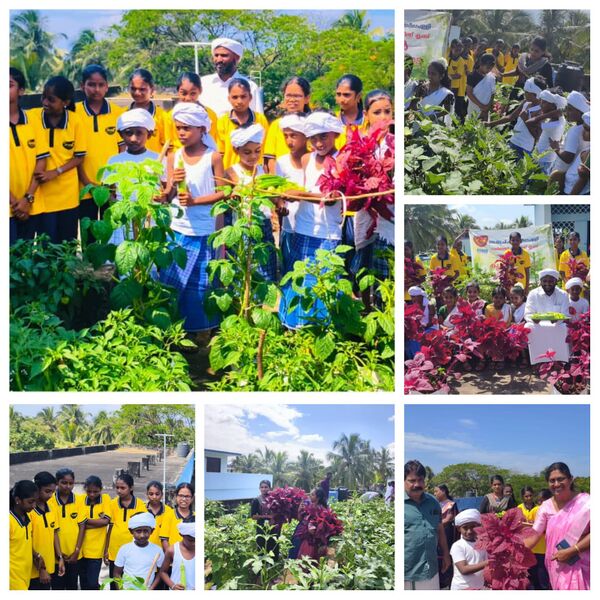 പ്രമാണം:43240 seed2025.1.jpg