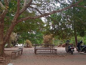 47072-entegramam35.jpeg