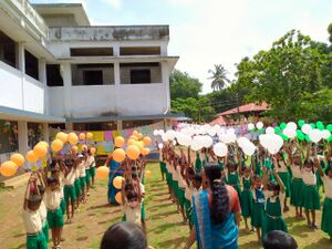 WhatsApp Image 2022-08-17 at 6.48.49 AM.jpeg