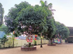 Worldcuptree 35052 22 (6).jpg