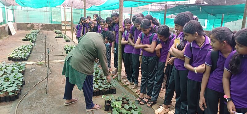 പ്രമാണം:12244 515.jpg