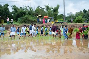 15019 kambalanatti 3.JPG