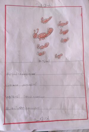 15231-WYD-KUNJ-PAMAL SURYA PRASAD.jpg