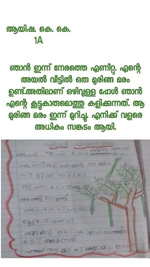 18310-MLP-KUNJ-AYISHA KK.JPG