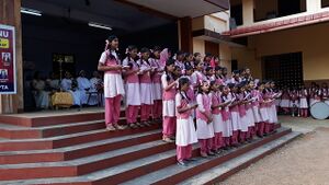 22046t10.jpg