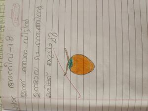 23323-TSR-KUNJ-ANEEVA GRACE SHIJU.jpeg