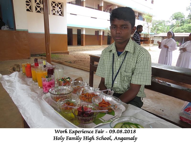 പ്രമാണം:25024wefair (3).jpg