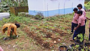 25121 kitchen garden2.jpg