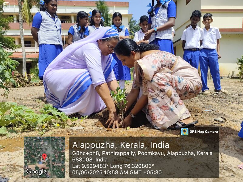 പ്രമാണം:35052 environmental day 1.jpg
